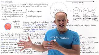 Introduction to lipoproteins [upl. by Slater]