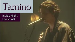 Tamino  Indigo Night Live at AB  Ancienne Belgique [upl. by Nader263]