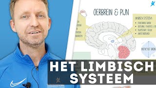 Het limbisch systeem  oerbrein en pijn [upl. by Avera]