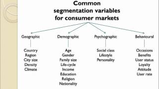 Market Segmentation Introduction [upl. by Galvin]