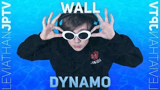 Wall Dynamo  Parody of Country Roads [upl. by Sonny]