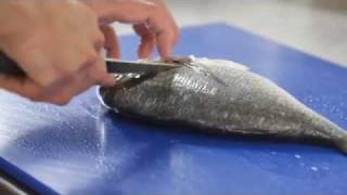 How To Fillet Bream [upl. by Farver]