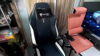 SecretLab VS Ergotune Chair Comparison [upl. by Iohk]