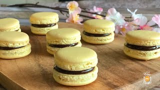 Macarons with Chocolate Ganache Recipe [upl. by Benn81]