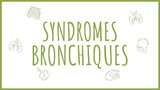 Sémiologie Respiratoire  Introduction aux Syndromes Bronchiques [upl. by Abbot]