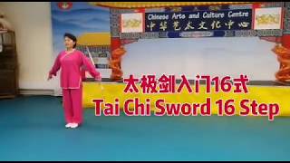 16 Step Tai Ji sword [upl. by Snowber462]