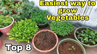 Easiest way to grow Top 8 Vegetables at HomeGarden  Small space gardening CC [upl. by Eisenstark]