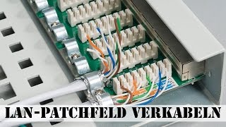 LANPatchfeld verkabeln [upl. by Anay]