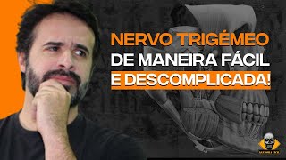 NERVO TRIGEMEO ÁREA DA INEVAÇÃO [upl. by Aniram576]