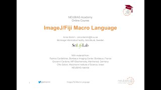 ImageJFiji Macro Language  NEUBIASAcademyHome Course [upl. by Sauer]