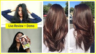 Garnier Color Naturals 532 Caramel Brown  Review  Demo  Hair Color At Home In 80 [upl. by Longfellow]