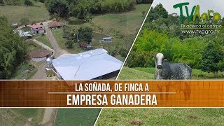 Como Transformar tu Finca a Empresa Ganadera  TvAgro por Juan Gonzalo Angel [upl. by Assedo863]