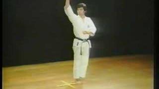 Chinte  Shotokan Karate [upl. by Tedric93]