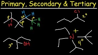 Primary Secondary Tertiary amp Quarternary Hydrogen and Carbon Atoms [upl. by Giesecke]