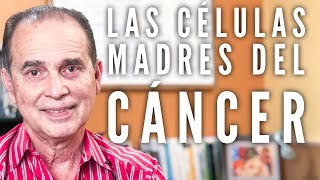 Episodio 1557 Las Células Madres Del Cáncer [upl. by Yesllek]