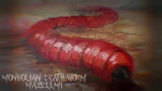 Mongolian death worm sounds [upl. by Sehguh592]