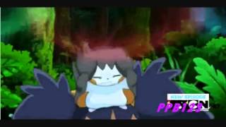 Pachirisu Pikachu Emolga And Snivy Amv Pyromania nightcore [upl. by Idnerb]