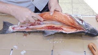 How to fillet a trout [upl. by Zane886]