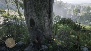 Red Dead Redemption 2 Chicks Treasure location [upl. by Schacker]