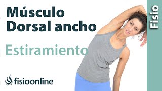 Estiramiento y flexibilidad del Músculo Dorsal ancho [upl. by Sabba]