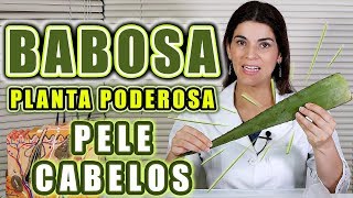 Use BABOSA  ANTI RUGAS  MANCHAS de PELE  ACNE  Receitas para o Rosto e Cabelos [upl. by Diandre743]