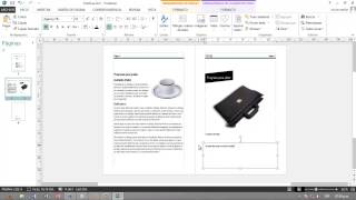 Como hacer un diptico con Publisher 2013 [upl. by Selrac191]