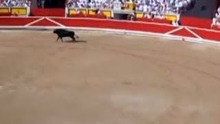 Bullfight San Fermín Pamplona Navarre Spain Europe [upl. by Annoyk806]