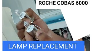 ROCHE COBAS 6000 LAMP REPLACEMENT Halogen Lamp [upl. by Nylrebmik]