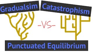 Process of Evolution  Gradualism vs Punctuated Equilibrium vs Catastrophism [upl. by Allesiram]