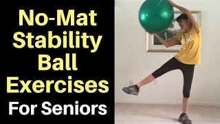 Standing Stability Ball Exercise For Seniors [upl. by Piscatelli]