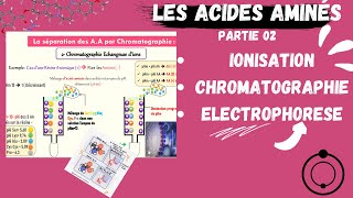 📣Acides Aminés  Ionisation Electrophorèse Chromatographie CHROMATOGRAPHYAMINOACIDS [upl. by Clim]