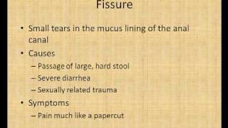 Hemorrhoids or Fissure [upl. by Rica]