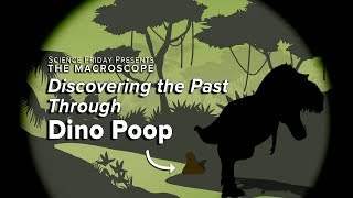 Discovering the Past Through Dino Poop [upl. by Rozina]