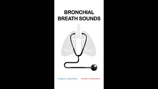 Bronchial Breath Sounds [upl. by Martina]