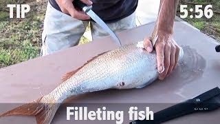 How to Fillet Fish [upl. by Adala309]