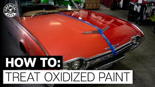 How To Restore Faded amp Discolored Paint  Chemical Guys [upl. by Guibert548]