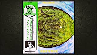 MIKE OLDFIELD  HERGEST RIDGE  1974 Full Album [upl. by Eneryc]