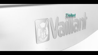 Vaillant Ecotec Boiler Servicing [upl. by Htebsle]