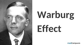 Warburg Effect  Nobel Prize  PET CT [upl. by Ardehs610]