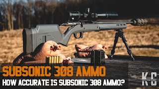 308 Subsonic Ammo  How Accurate is it [upl. by So843]