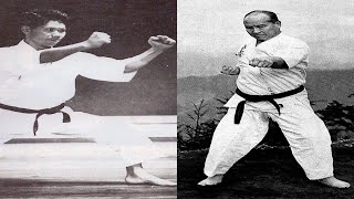 The Difference Between Shotokan amp Kyokushin [upl. by Hayyifas295]