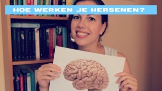 Hoe werkt je brein voor beginners [upl. by Deach]