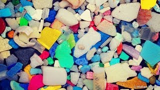 What Are Microplastics And How Are They Harming Our Oceans Plastic Pollution  Behind the News [upl. by Sutniuq]