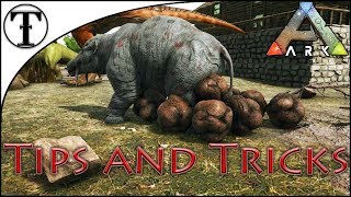 Why and How to Tame a Phiomia  ARK  Survival Evolved Tips and Tricks [upl. by Xaviera]