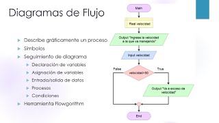 Diagrama de Flujo Flowgorithm [upl. by Theola]