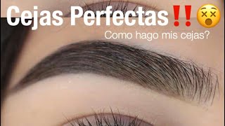 Cejas Perfectas Facil Paso a Paso  Monika Sanchez [upl. by Nanine]