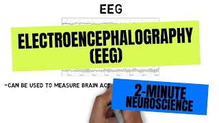 2Minute Neuroscience Electroencephalography EEG [upl. by Walt]