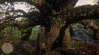 Killer Clue Locations Red Dead Redemption 2 [upl. by Nohsyar]