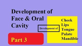 Embryology Animated  the First Three Weeks [upl. by Elak]