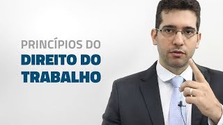 Princípios do Direito do Trabalho  PARTE 01 [upl. by Yxel]